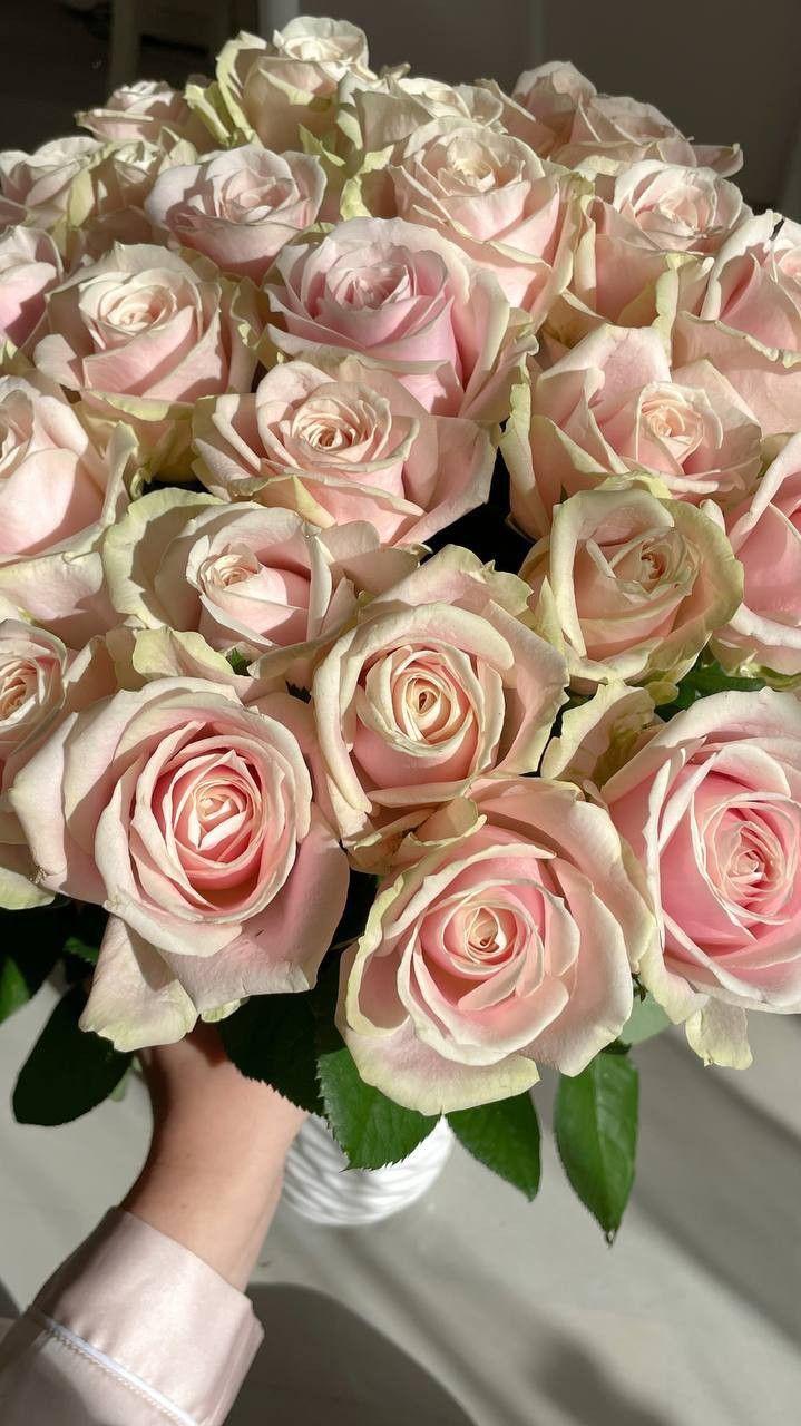 Enchanted Paradise: Exotic Floral Harmony